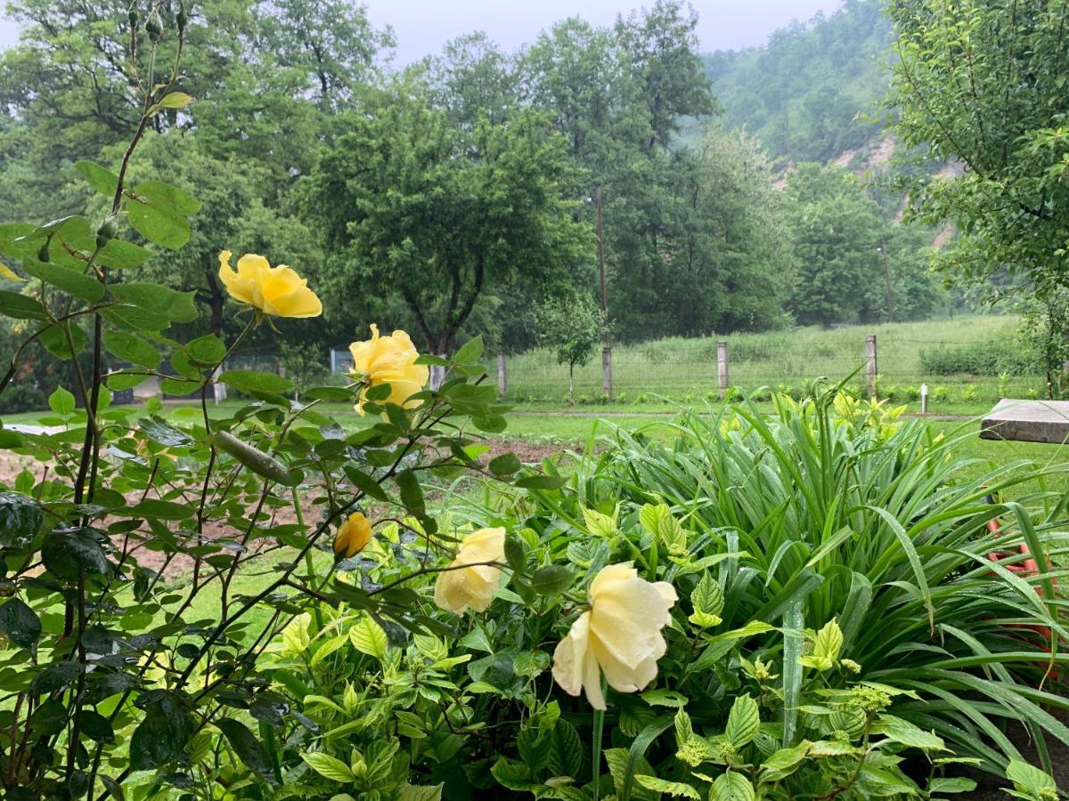 Holiday Residence Buric Visoko Εξωτερικό φωτογραφία