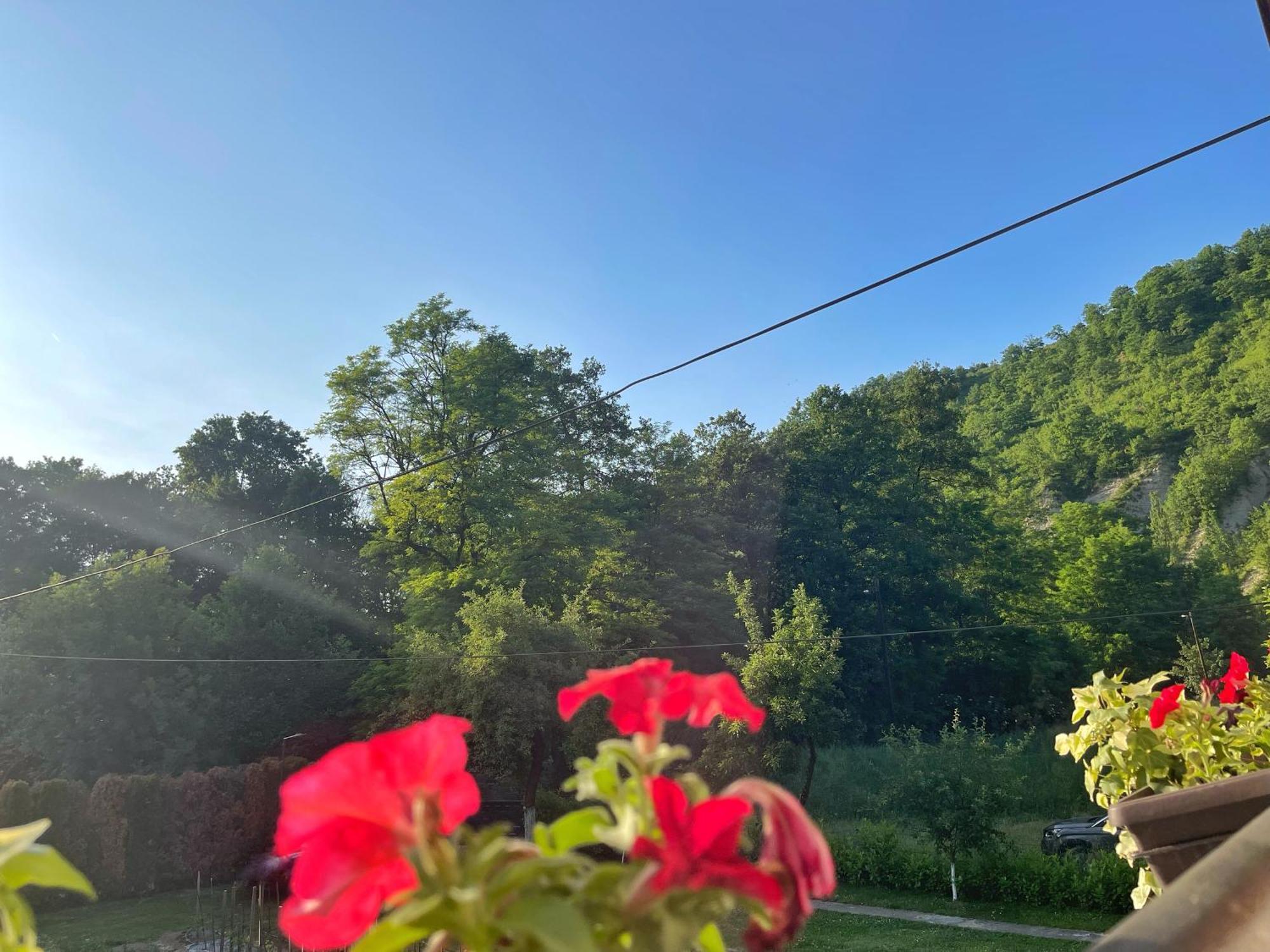 Holiday Residence Buric Visoko Εξωτερικό φωτογραφία